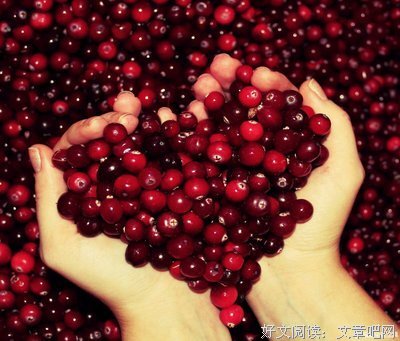 《一些感动》的句子