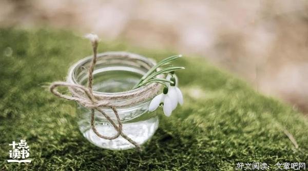 季羡林：我想有个小院子，花开花落一辈子