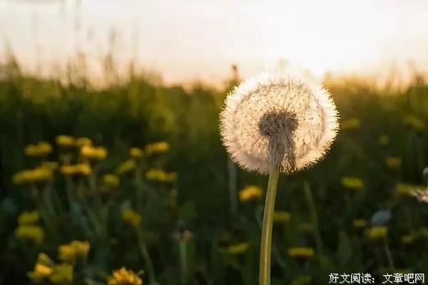 往事不辜负，岁月不回头
