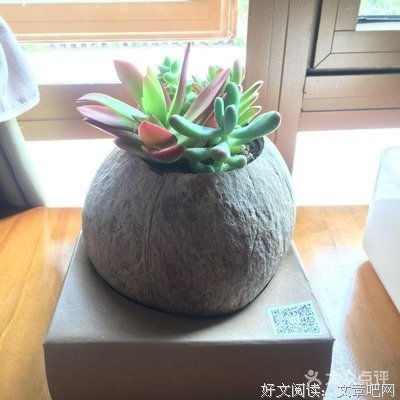吾汤起灵的优美句子