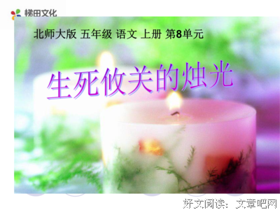 萤烛光优美的句子