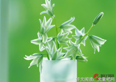 《青春是张单程票》好段摘抄