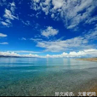 关于张丽钧的名句