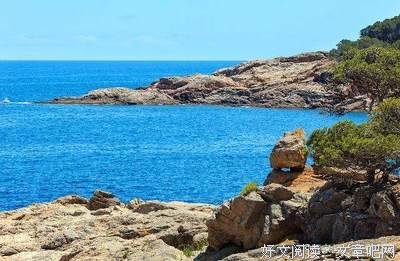 爱的感悟。优美的句子