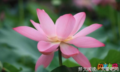 古风遗韵好词好句