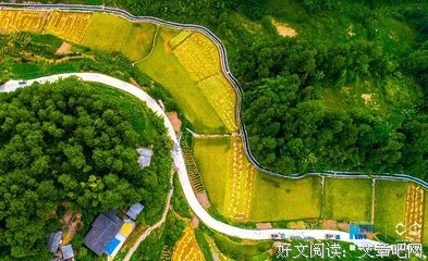 满家喃的句子