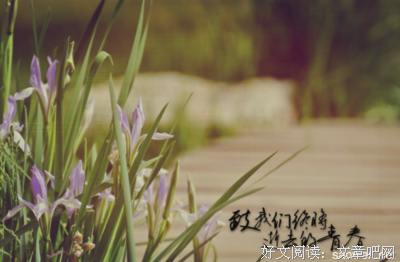 所谓青春经典名句