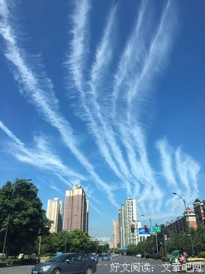 情殇经典的句子