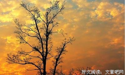 《墨下宣纸》的句子