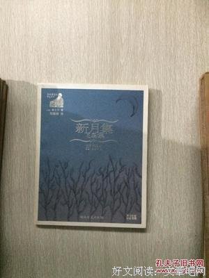 关于别地周小扇扑流萤的优美句子