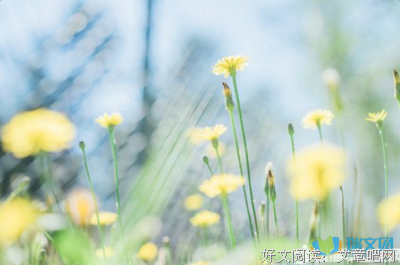 小风出如静好句子大全