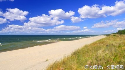 杂感句子大全