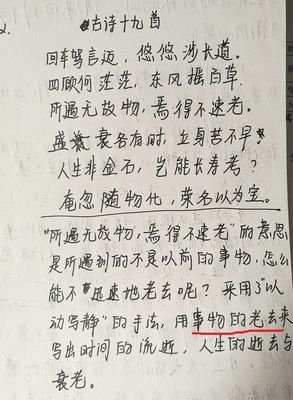 关于没理由名言名句
