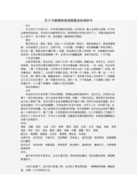 优美好词好句