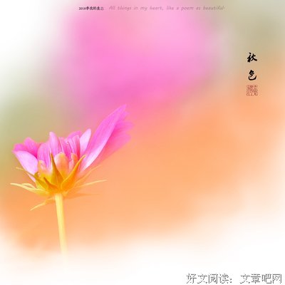 关于吾心的句子