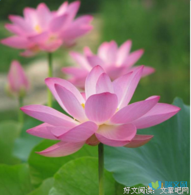 灰色经典的句子