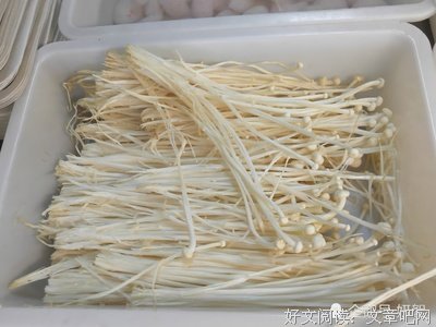 被惯坏的北方人，在南方撑不住3秒