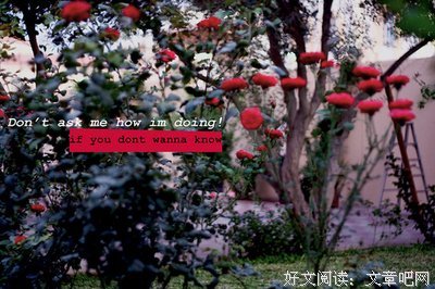 只羡温言不羡仙的句子