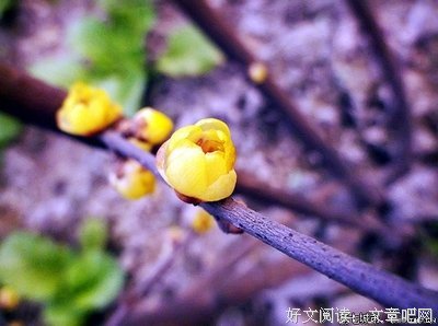 风经典的句子