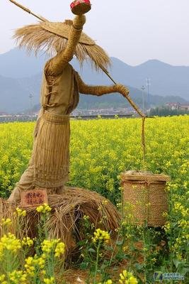 八千里路云和月读后感精选10篇
