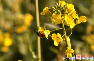 意义经典名句