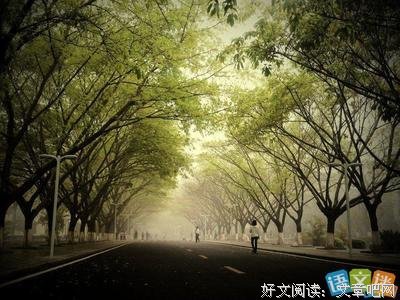 偶到大时光句子