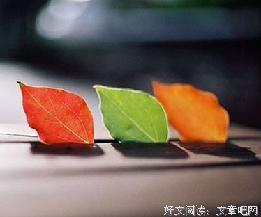 教你看一个人（非常准！）