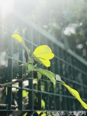 年龄越大，越迷信“门当户对”