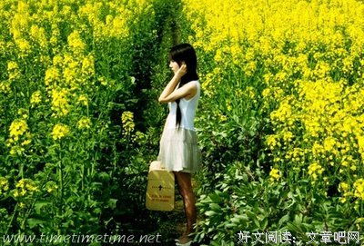 最全的《错不在我》经典语录