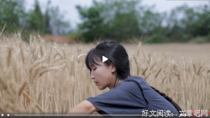 地上仙（完整版）