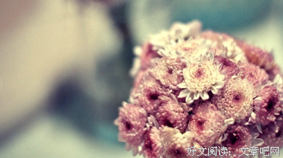 我的心只悲伤七次名句欣赏