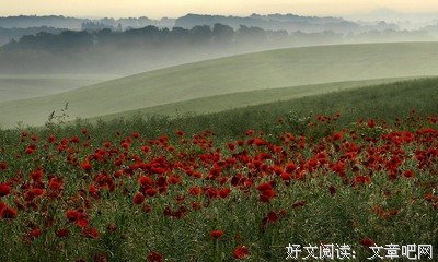 人生感悟句子大全