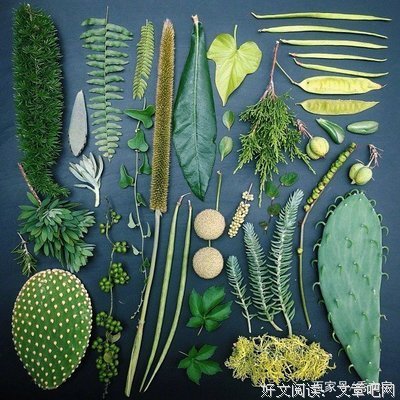 超赞的句子