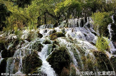 碎玉经典的句子