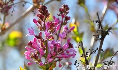 今年45-65岁的，2020年就要面对现实了！