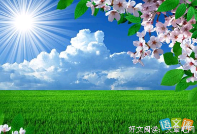 阳光的优美句子