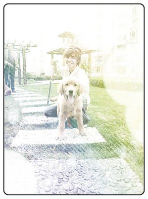 有关郭敬明的句子