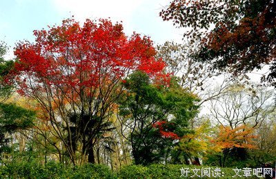 不许回头，不许停优美的句子