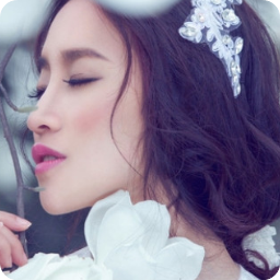 心如荒岛，囚我终如实格她失优美的句子
