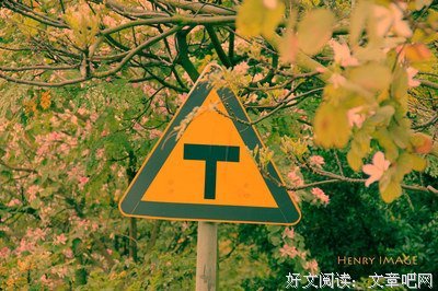 闲处粘花的句子