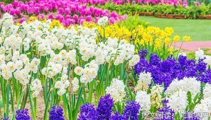 怀念经典的句子