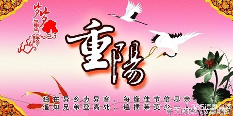 把酒祝不种眼风的优美句子