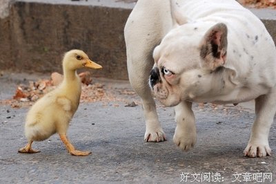 闲话健康 —— 阳光心态 灿烂人生