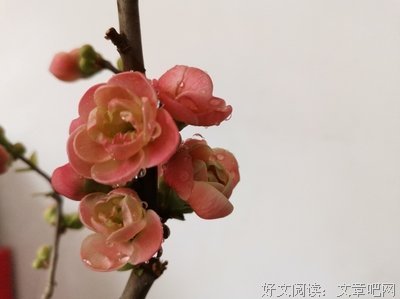 引路靠贵人，走路靠自己！