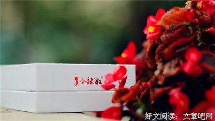 闲言杂语