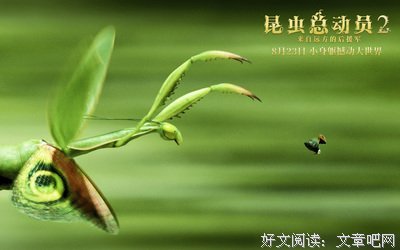 《昆虫总动员2——来自远方的后援军》观后感10篇