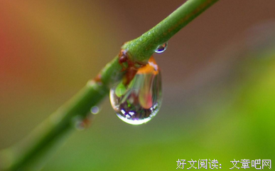 哪些星座不适合爱情长跑