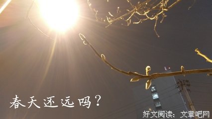 2019要过去了，再坚持一下吧