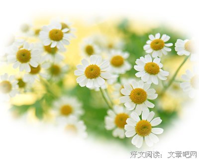 好经典的句子