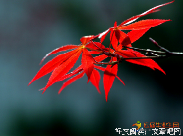 人的优美句子